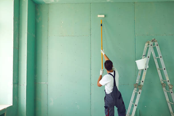 Best Emergency Mold Remediation  in Havre, MT