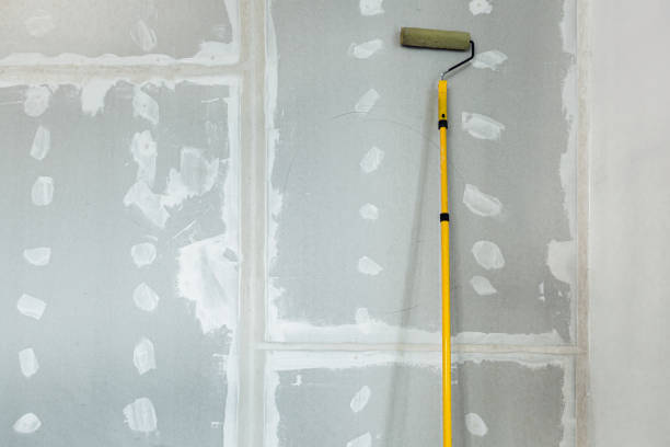 Best Mold Damage Restoration  in Havre, MT
