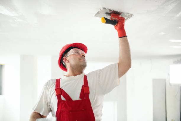 Best Crawl Space Mold Remediation  in Havre, MT