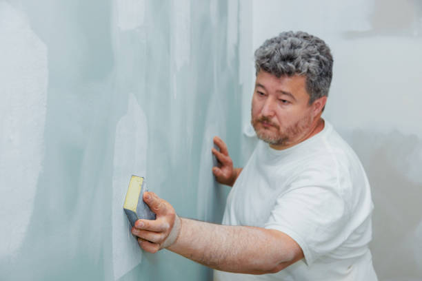 Best Asbestos and Lead Testing During Mold Inspection  in Havre, MT