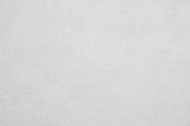 Mold Remediation for Rental Properties in Havre, MT